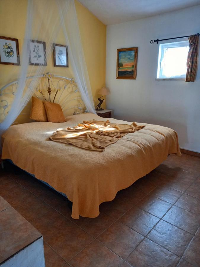 Hotel Monte Da Boa Vista - Descanso Perfeito Portel Exteriér fotografie
